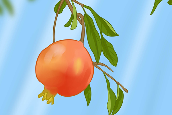 ��Ƣθ����Ч��ˮ�� ��ƢθӦ�ó�ʲôˮ��